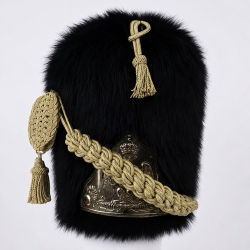 French napoleonic 100 - french,