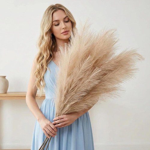 Extra large pampas grass - extra,