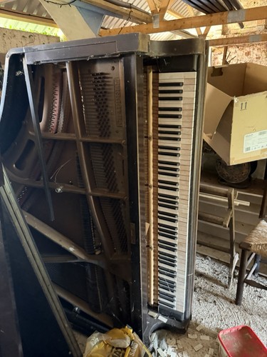 Derelict grand piano - derelict, by