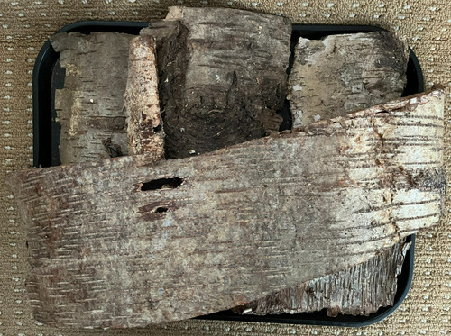 1kg box birch bark - bark, large