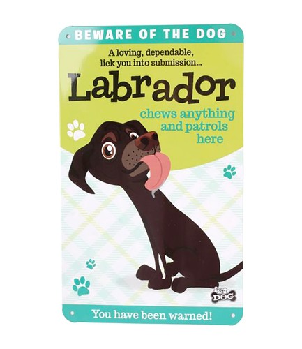 Labrador chocolate novelty - labrador,