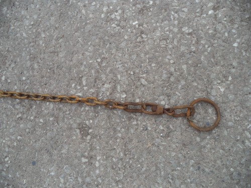 Pony goat tether chain - goat,