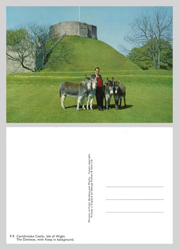 Vintage postcard carisbrooke - postcard,