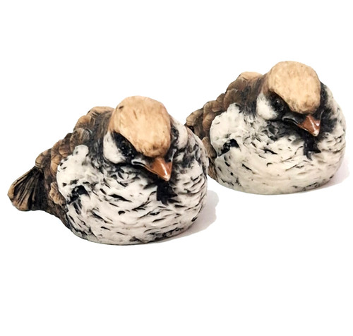 Vintage baby bird chick - vintage,