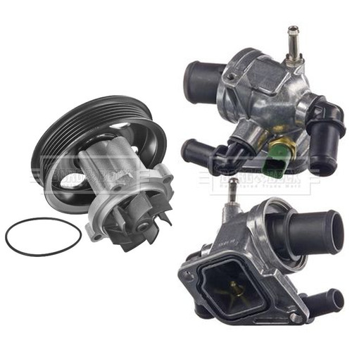 Borg beck water pump - borg,