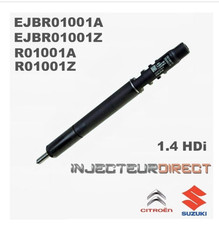 Reconditioned Delphi Injector