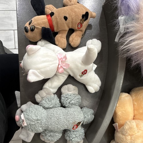 Tonka pound puppies - tonka,