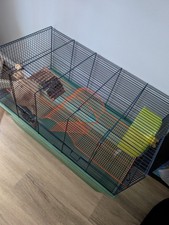 large hamster cage used in very good condition