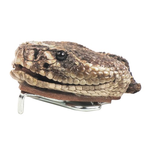 Genuine taxidermy rattlesnake - genuine,