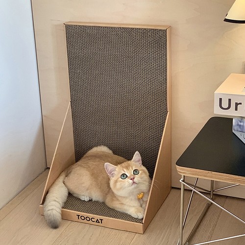 Cat tree scratching - cat,