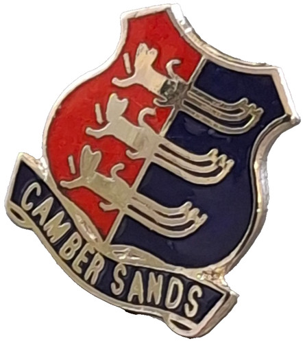 Camber sands small pin - camber,