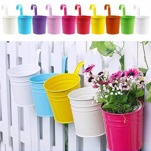 20x hanging planter plant - 10/20x,
