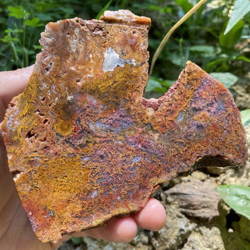 Vibrant rainbow moss - vibrant, agate