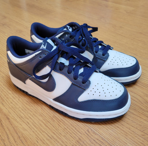 Nike dunk low - unisex, kids