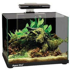 Aqua one focus - aqua,