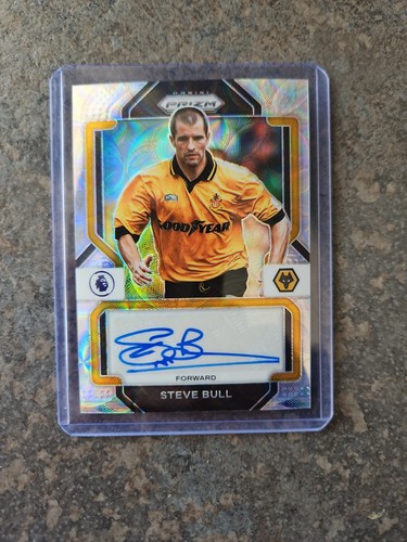 Steve bull auto - bull, choice