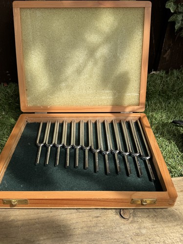Set school tuning - 8, forks
