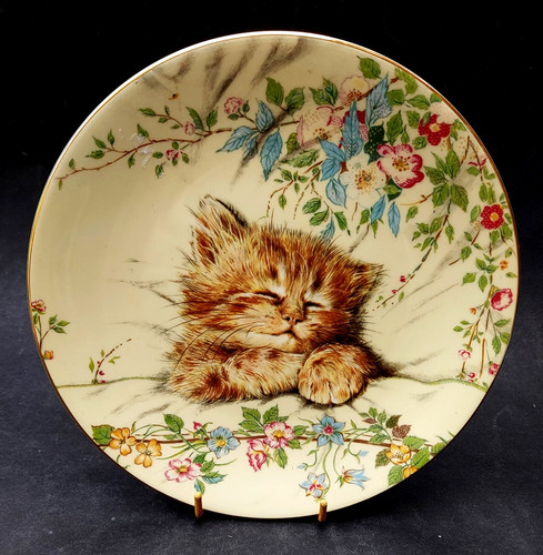 Bone china royal worcester - bone,