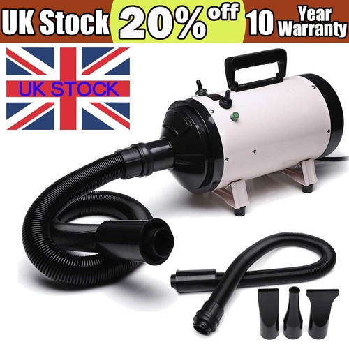 Pet hair dryer dog - hair, animal