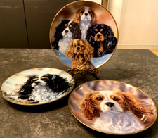 Three Danbury Mint Cavalier King Charles Spaniel Plates by Paul Doyle 8ins