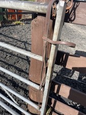 English Leather Full Size Half Bridle. Headpiece, Cheekpieces, Browband. Havana