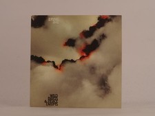 THE SNAKE WILD BIRDS AND PEACE DRUMS (485) 10 Track Promo CD Album including Car