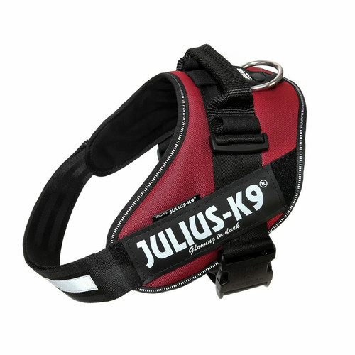 Julius dog harness burgundy - dog,