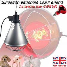 Infrared heat lamp - heat, poultry