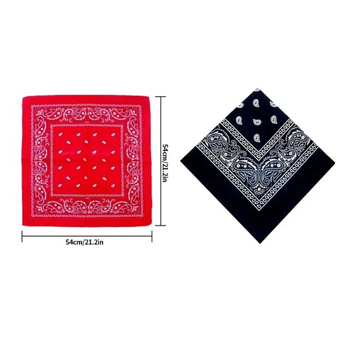 Extra large paisley - xl,