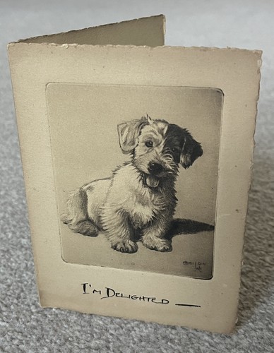 Vintage dog print sealyham - print,