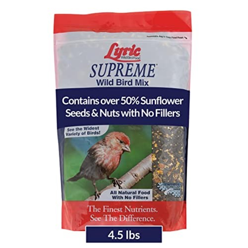 Lyric supreme wild - bird,