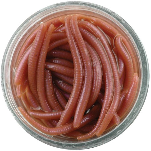 Berkley gulp alive angle worm - gulp,