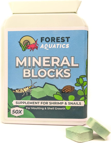 Calcium mineral block - x,