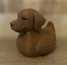 Labrador Retriever Duck -