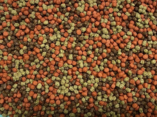 Abf cichlid food pellet - pellet, mix
