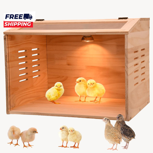 Brooder box for - brooder, chicks