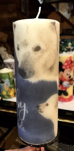 Polar bear cub hand - polar, decor