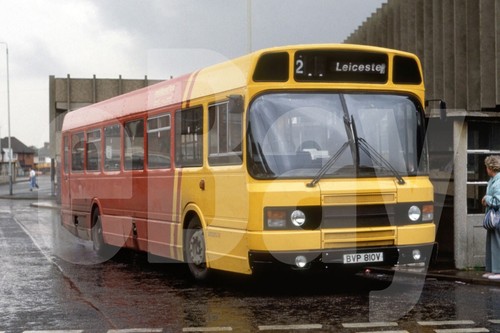 Bus photo midland fox - photo,