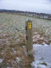 Photo 6x4 Live fence? Kingham It is probable that it is a long time since c2009