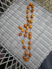 vintage butterscotch amber