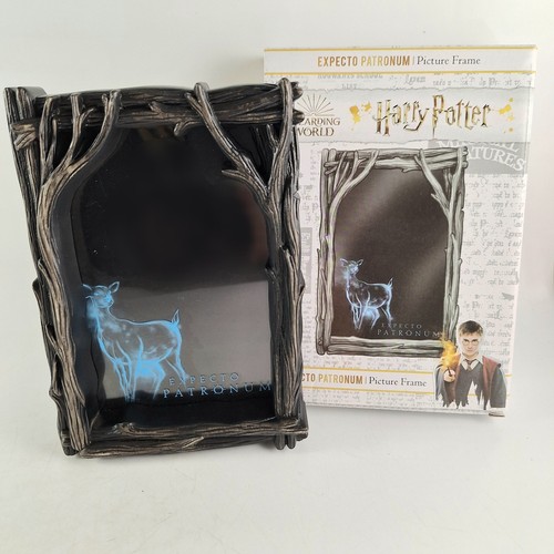 Harry potter expecto - harry,