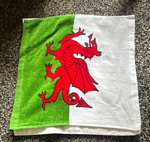 Welsh dragon face - dragon,