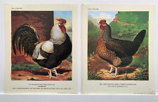 Cassells Poultry Book