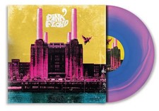 Pink Floyd On Pink & Purple