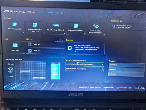Asus vivobook laptop pentium - laptop,