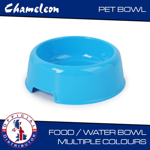 Pet bowl feeding - drinking, dog