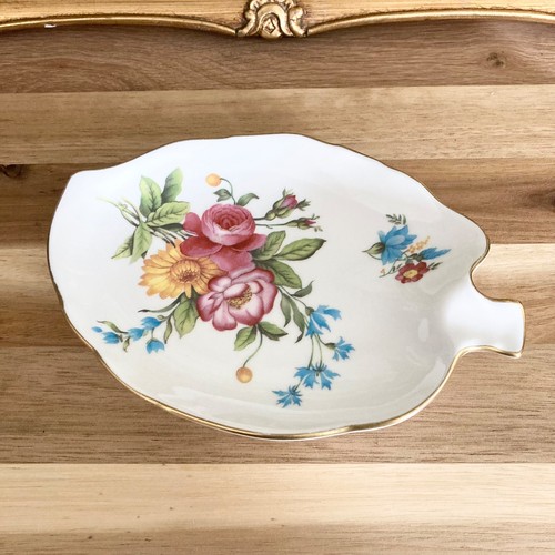 Spode the cabinet - spode,