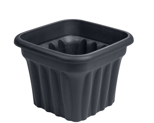 Litre graphite grey plant - grey,