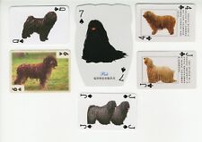 HUNGARIAN PULI SINGLE COLLECTABLE DOG PLAYING CARDS