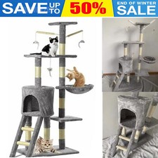 Cat Rest Play Activity Tree